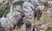 Trail Walking Saint-Agnan-en-Vercors - Le Grand Veymont - Photo 9