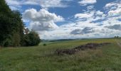 Trail Walking La Roche-en-Ardenne - Transardennaise 1 - Photo 11