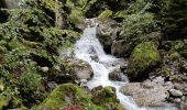 Tour Wandern Plancherine - Abbaye de Tamié - Photo 4