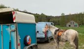 Trail Horseback riding Saint-Quirin - Dimanche 7 avril 24 kiboki  - Photo 2