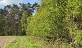 Tocht Stappen Villers-la-Ville - Promenade de Berines  - Photo 9