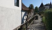 Percorso A piedi Fahrwangen - Schloss Hallwil - Fahrwangen - Photo 1