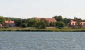 Tour Zu Fuß Rieseby - Rundwanderweg Stubbe-Büstorf - Photo 7