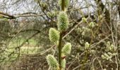 Trail Walking Tervuren - Promenade XT2 - Photo 16