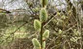 Tour Wandern Tervuren - Promenade XT2 - Photo 16