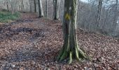 Trail Walking Namur - Mont Etoile plateau Longsart home - Photo 2