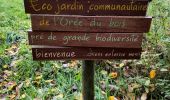 Randonnée Marche Gembloux - Promenade du bois de Grand-Leez et son étang  - Photo 14