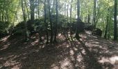 Tour Wandern Bouillon - Belle rando très sportive au départ de Rochehaut  - Photo 9