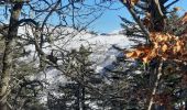 Randonnée Raquettes à neige Génos - Val Louron raquettes - Photo 17