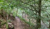 Tour Wandern Hohenfels - Dinez / 2020-08-30 / 21 km - Photo 15