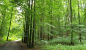 Randonnée Marche Uccle - 2020-07-09 - Banc d'essai pour enregistrer un circuit dans la forêt de Soignes sur EasyJet Trail  20 jm - Photo 7