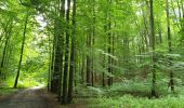 Tour Wandern Uccle - Ukkel - 2020-07-09 - Banc d'essai pour enregistrer un circuit dans la forêt de Soignes sur EasyJet Trail  20 jm - Photo 7