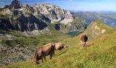 Randonnée A pied Isenthal - Bannalper Schonegg - Rot Grätli - Photo 5