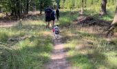 Trail Walking Vielsalm - Initiation bivouac j1 - Photo 1