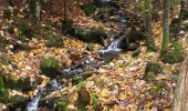 Randonnée Marche Oberhaslach - mutzig rocher - Photo 4