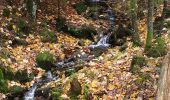 Randonnée Marche Oberhaslach - mutzig rocher - Photo 4