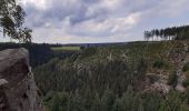 Tour Wandern Weismes - robertville . barrage . nez de napoléon.  reinhardstein . barrage . pont . robertville - Photo 16