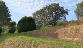 Tocht Stappen Comblain-au-Pont - oneux . comblain-la-tour . oneux - Photo 12