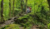 Trail Walking Neupré - Autour de Houte-Si-Plou - Photo 2