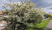 Tour Wandern Lüttich - Rocourt - Grâce-Hollogne - Rocourt  - Photo 2