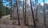 Trail Walking Ferrières - entre Jehonhé et La Fagne  - Photo 18