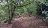 Tocht Stappen Chaudfontaine - embourg . beaufraipont . lande de mehagne . bois des 4 corneilles . embourg  - Photo 5