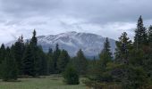 Tour Wandern Saint-Agnan-en-Vercors - La Coche - Photo 2