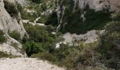 Trail Walking Marseille - Callelongue-Marseilleveyre - Photo 19