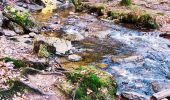 Tour Wandern Jalhay - Légendes et forêt enchantée à Solwaster. (Promenade 57)  - Photo 9