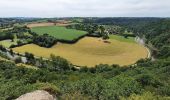 Excursión Senderismo Condé-sur-Vire - Le rocher de Ham - Photo 2