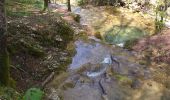 Trail Walking Vuillafans - vuillafans cascades tuffière et raffenot - Photo 3