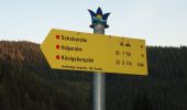 Tocht Te voet Dienten am Hochkönig - Fischerstüberl-Ahornstein - Photo 8