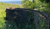 Trail Walking Mazamet - Mazamet passerelle  - Photo 3