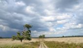 Trail On foot Arnhem - Deelerwoud - Groen - Photo 4
