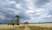 Tour Zu Fuß Arnheim - Deelerwoud - Groen - Photo 4