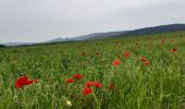 Tour Wandern Saint-Étienne-du-Bois - Meillonnas, Jasseron - Photo 6