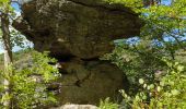 Tocht Stappen Mont Lozère et Goulet - Château de Tournel - Photo 2