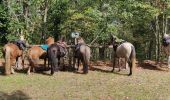 Trail Horseback riding Saint-Pierre-Bois - 2022-09-11 Picnic CVA St Gilles Bernstein Ortenbourg - Photo 1