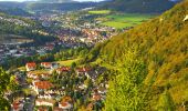 Randonnée A pied Gomadingen - Traufgang Schlossfelsen - Photo 5