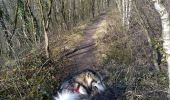 Tour Wandern Herstal -  CANI-RADO TOUR (boucle, Herstal gauche) - Photo 13