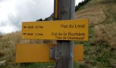 Trail Walking Saint-Pierre-de-Chartreuse - Correrie_Col de la Ruchère_Petit Som_Col de l'Echaud_Pas du Loup - Photo 18