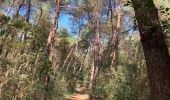 Percorso  Kalmthout - Verkorte reewandeling - Photo 1