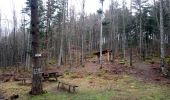 Tocht Stappen Rosheim - Tour du Schwartzkopf et Fackenkopf - Photo 6