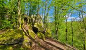 Tocht Stappen Thuin - Balade dans le Bois du Grand Bon Dieu-Thuin - Photo 11