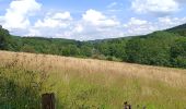 Randonnée Marche Amblève - La rivière d'or (9km) - Photo 5