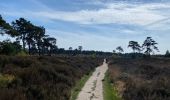 Trail Walking Bergen op Zoom - De Bergen op Zoom (NL) à Kalmthout (BE) sur le GR5 - Photo 3