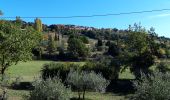 Tour Wandern Villecroze - Tombe mégalithique de la Lauve-28-10-20 - Photo 1