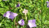 Tour Wandern Yvoir - Yvoir, boucle sur les roches, réserve de Champalle - Photo 10