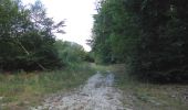 Trail Walking Haramont - en forêt de Retz_72_dans les forêts de Retz et de Compiègne - Photo 15