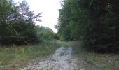 Randonnée Marche Haramont - en forêt de Retz_72_dans les forêts de Retz et de Compiègne - Photo 15